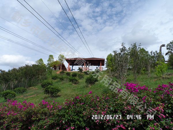滑索成為旅游景區(qū)的新寵，吸引眾多游客體驗(yàn)